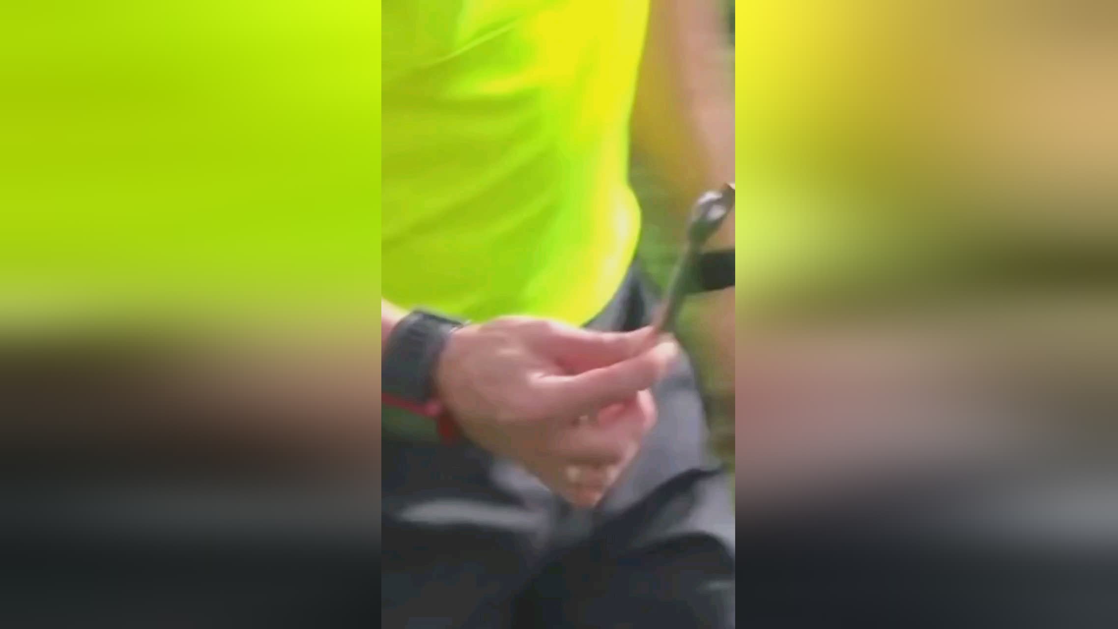 秀的